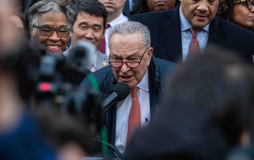 Chuck Schumer’s Flight-Over-Fight Instinct Is Leaving Democrats in the Lurch